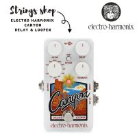 เอฟเฟคกีตาร์ Electro Harmonix Canyon delay &amp; looper