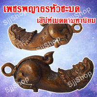 ปลัดหัวชะมดเพชรพญาธร หรือ ทิพยาธร จัดส่ง 1-3 วันได้รับสินค้า