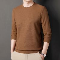 TFETTERS Spring Autumn Casual Waffle Design Pullovers Sweater Men Long Sleeve O-neck Pullover Slim Fit Business Sweaters for Men