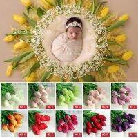 ✸☊ lbfdjq Plástico Tulipa Artificiais Baby Photo Shoot Estúdio Flokati Recém-nascidos Fotografia Props Basket Acessórios