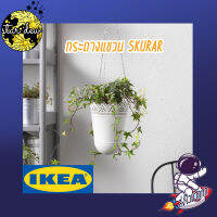 กระถางแขวน, ใน/นอกอาคาร ออฟไวท์, ออฟไวท์, 12 ซม. SKURAR IKEA (สินค้าพร้อมส่ง)