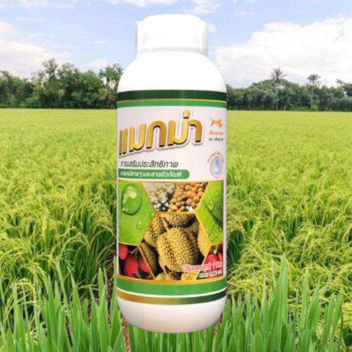 sv289-แมกม่า-maxma-สารจับใบ-สารเสริมประสิทธิภาพสูตรเข้มข้นพิเศษ-ขนาด-1ลิตร3ขวดใช้ผสมได้มากถึง-10-000-ลิตร-ยาจับใบ-หรือจับใบพืช-ชนิดทนการชะล้าง