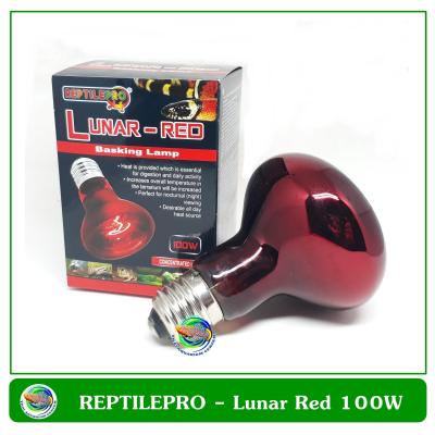 หลอดไฟให้แสงกลางคืนและความร้อนสำหรับสัตว์เลื้อยคลาน  REPTILEPRO Lunar-Red Basking Lamp 100W