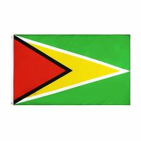 ZXZ free shipping Guyana Flag 60*90cm 90*150cm GUY GY Cooperative Republic Guyana Flag For Decoration