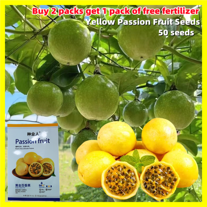 Yellow Passion Fruit Seeds - Fresh 50 Seeds Passion Fruit Seeds For 