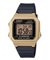 CASIO สายเรซิ่น รุ่น W-217HM-9A