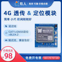 &amp;lt;&amp;gt;[ มีคน ] แบบพิน cat1 โมดูลแบบพลักแอนด์เพลย์เข้ากันได้ 2g nb Internet of Things 4G การสื่อสารแบบเครือข่าย 7S1