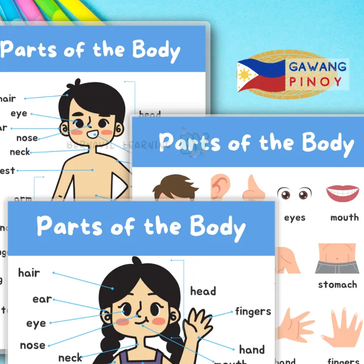 Parts of the Body Chart | Laminated Educational Chart | Girl or Boy