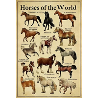 Horse Of The World ป้ายโลหะดีบุก-โปสเตอร์ย้อนยุคสำหรับโรงเรียน,การศึกษา,ฟาร์ม,ห้องนั่งเล่น,ห้องน้ำ,หรือห้องครัว Home Art Wall Decor