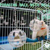 Foraging Ball With Bell ของเล่นนก