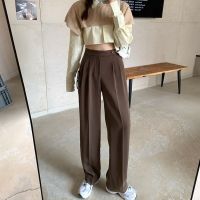 Suit Pants for Women Spring and Autumn  New High Waist Drooping Mop Wide Leg Pants Loose Straight Casual Long Pants Fashion