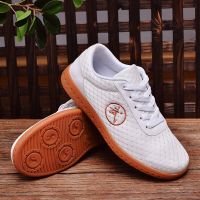 Professional Taekwondo Shoes for Men and Women Chinese Kungfu Martial Arts Taiji Karate Martial Arts Wrestling Sports Shoes 5858