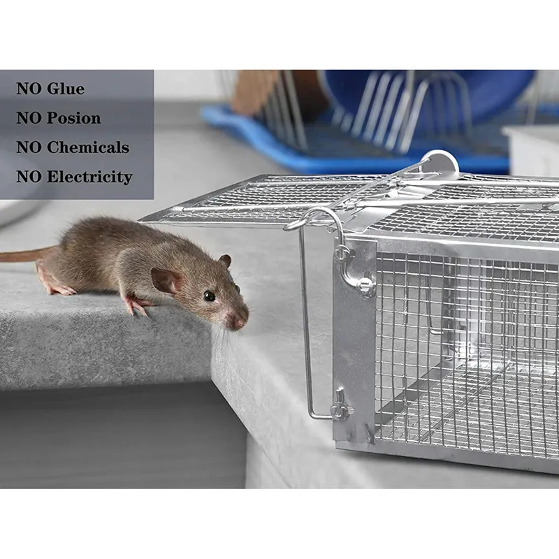 Humane rat traps siruseri cognizant office locations