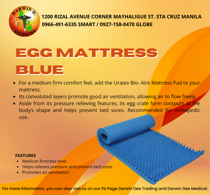 EGG FOAM MATTRESS ANTIBEDSORE BLUE Lazada PH