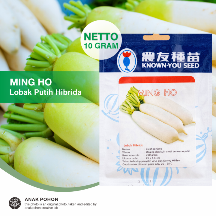 1 Pack Benih Lobak Putih Ming Ho F1 White Radish Mingho Hibrida