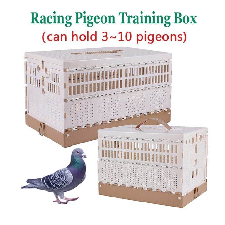 Pigeon Training Box Foldable Box Cage Portable Pigeon Cage for Training
