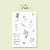 สติ๊กเกอร์ ไดคัต botanic sticks สุดน่ารัก สติ๊กเกอร์น่ารักๆ