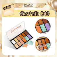 คอนซีลเลอร์คงทนจินตนาการ Seluruh Wajah จานคอนซีลเลอร์กันน้ำ12สีแต่งหน้าใบหน้า