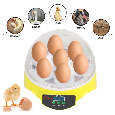ตู้ไข่มินิเครื่องฟักไข่ไก่7ฟองตู้อบไข่วัดอุณหภูมิแบบดิจิตอลปรับได้สำหรับไก่เป็ดนกพิราบ