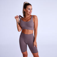 Ribbed Shorts Ensemble Female 2 Pieces Yoga Set Clothing Sportswear Sets Women Gym Clothes Seamless Workout Fitness Fifth Pants...