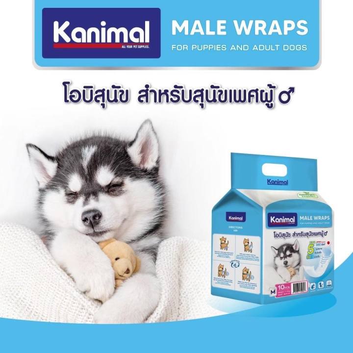 แพมเพิสสุนัข-ผ้าอ้อมสุนัข-kanimal-โอบิสุนัข-สำหรับสุนัขตัวผู้