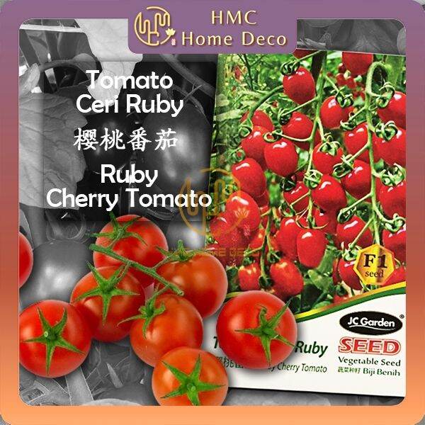 K76 RUBY CHERRY TOMATO JC GARDEN VEGETABLE SEED GARDENING PLANTING