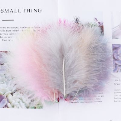 50PCS/Bag Turkey Feathers Fluffy and soft Dyed Plumes decorative accessories Decoration plume Crafts
