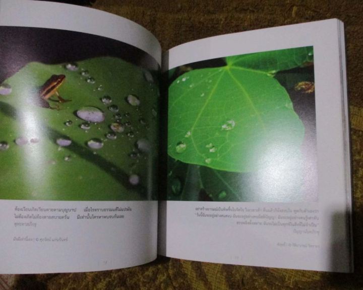 หนังสือ-พิศเจริญ-ภาพและอมตธรรมแห่งสองศรีพระศาสนา