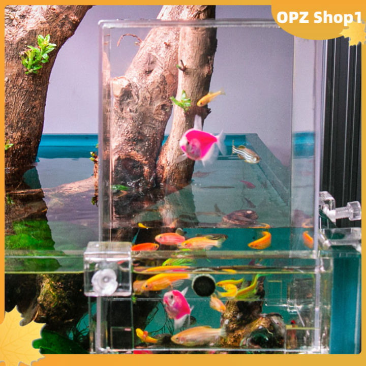 Acrylic Fish Tower Aerial Extender Fish Tank For Ecological Landscaping  Convenient Observation Viewing Area Increase Bigger Space | Lazada Ph