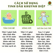 Tinh Dầu Khuynh Diệp Chillight - 100% tinh dầu thiên nhiên nguyên chất