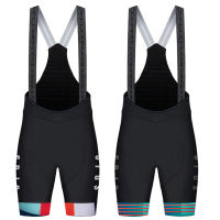 2021 NEW SDIG PRO TEAM Cycling Bib Shorts Best Quality Cycling Bottom bicycle bib shorts New Seamless Microfiber bib straps