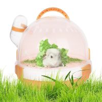 Travel Hamster Cage Dwarf Hamster Cage With Water Bottle Small Animal Carriers Dwarf Hamster Cage Breathable Pet Carry Cage For