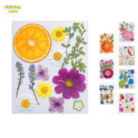 Dried Flowers For Resin Natural Fruits Pressed Flowers DIY Kit For Phone Case Epoxy Resin Filling Pendant Jewelry Making Nail Art Decor