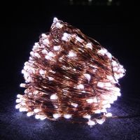 12V Copper String Lights with Power Adapter 10m 20m 30m 50m Led Fairy Light for Wedding Party Christmas Home Decoration