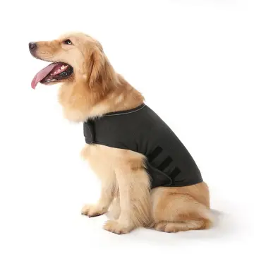 Dog hotsell calming sweater