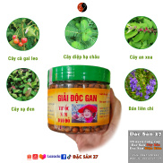 GIẢI ĐỘC GAN, Cây Cà Gai Leo, Xạ Đen, Diệp Hạ Châu, An Xoa, Bán Liên Chi