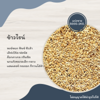 ข้าวไรน์ (แบ่งขาย 200-500G.) อาหารของนกแก้วขนาดเล็ก-กลาง