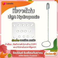 ที่เจาะโฟมอุปกรณ์ปลูกผักไฮโดรโปนิกส์ 10 ชิ้น By hydroponicgroup