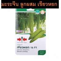 เมล็ดพันธุ์ มะระจีน ลูกผสม เขียวหยก 16 F1 ผลยาวตรง ไหล่ผลกว้าง ติดผลดก ผลผลิตสูง