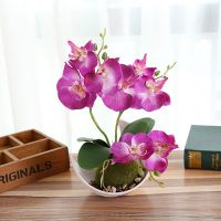 Butterfly Orchid Simulated Butterfly Orchid Moon Basin Artificial Bonsai Creative Ornament Decorate Simulated Artificial Flower