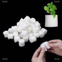 ▨ Dream 100Pcs Soiless Hydroponic Gardening Plant Tools Planted Sponge Vegetable System