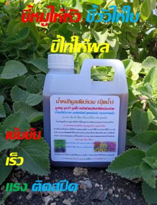 น้ำหมักมูลสัตว์รวม ผสมขี้หมู ขี้วัว ขี้ไก่ ปริมาณ 1 ลิตร หมักด้วยจุลินทรีย์หน่อกล้วยและสับปะรด ธาตุอาหารพืชครบถ้วน