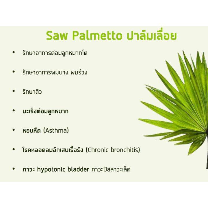 สารสกัดซอว์ปาลเมตโต้-saw-palmetto-450-mg-60-vegetarian-capsules-21st-century