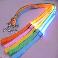 Nylon LED Pet Dog Leash Night Safety LED Flashing Glow In The Dark Dog Leash Dogs Luminous Fluorescent Collars Pet Dog Supplies