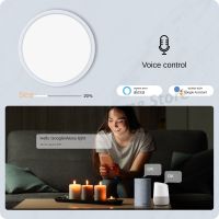 WiFi Graffiti Smart Home 25W การปรับสีของไฟเพดาน,ลดแสง,จังหวะเพลง,แสงเย็นและอบอุ่น RGB ไฟ LED บางเฉียบ