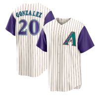 The new holesale best quality base jerseys Arizona 20 Luis Gonzalez 51 Randy Johnson