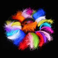 Colorful Feathers 3-8cm Small Floating Plumes Jewelry Clothing Accessories Supplies