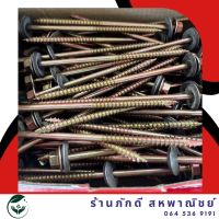 PD-000132ลอนคู่ ติดแหวน แปไม้10-12x100 (4)