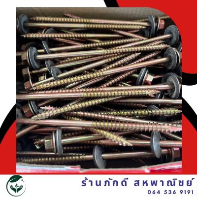 PD-000132ลอนคู่ ติดแหวน แปไม้10-12x100 (4)