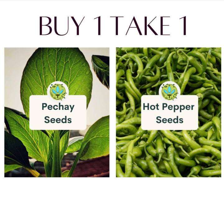 Binhi Pantanim 1 Take 1 Pechay 100 Seeds And Hot Pepper 10 Seeds Garden